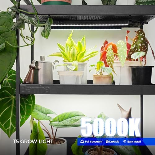 Barrina T5 Grow Lights for Indoor Plants, Full Spectrum, 1ft 5000K, 4 Packs - Image 2