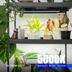 Barrina T5 Grow Lights for Indoor Plants, Full Spectrum, 1ft 5000K, 4 Packs - Image 2