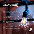 Brightech Ambience Pro - Waterproof LED Outdoor String Lights - Hanging, Dimmable 2W Vintage Edison Bulbs - 48 Ft Commercial Grade Patio Lights Create Cafe Ambience in Your Backyard - Image 2