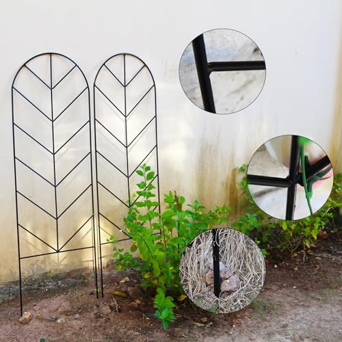 2 Pack Black Metal Garden Trellis 45"H x 15.9"W for Climbing Plants - Image 4