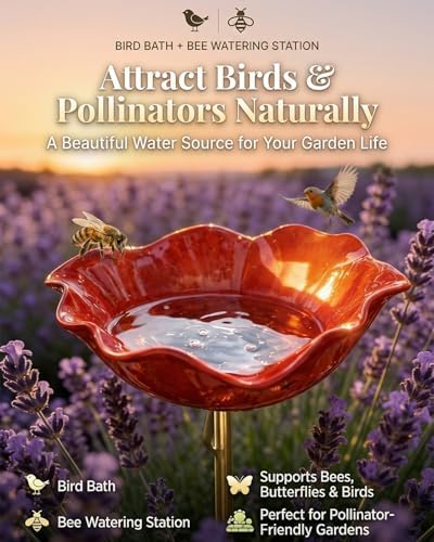 Handmade Metal Flower Garden Stakes Grace Decor Mini Bird Bath Bowl Supports for Outside Outdoors Pollinator Butterfly Bee Watering Station Birdbath Hummingbird Water Feeder Yard Art Gift(2MIXF) - Image 2