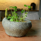 Top Collection Garden Frog Meditating On Large Functional Stone Flower Pot Planter Figurine - Image 3