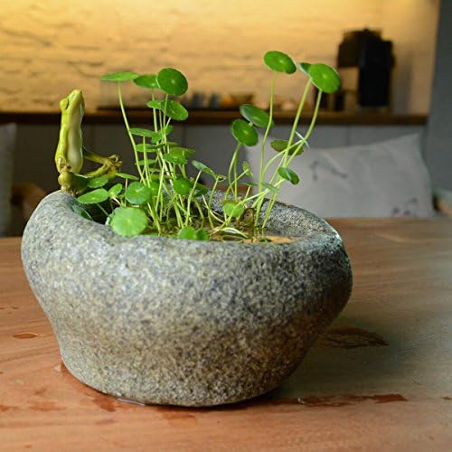 Top Collection Garden Frog Meditating On Large Functional Stone Flower Pot Planter Figurine - Image 3