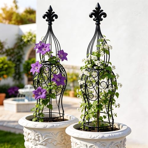 2-Pack Iron Garden Obelisk Trellis, 30" Rose Climbing Plant Support by JILLSKY