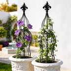 2-Pack Iron Garden Obelisk Trellis, 30" Rose Climbing Plant Support by JILLSKY