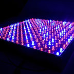 HQRP 14W 225 LED Blue + Red Spectrum Hydroponic Plant Grow Light Panel/Lamp - Image 2