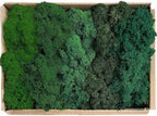 Preserved Reindeer Moss Natural Green DIY Kit Gardenning Art Wall Decor Florist Decor Easter Table Decor Wedding - Image 2