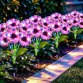 Solar Garden Lights Outdoor, 4 Pack Solar Multicolor Sunflower Lights with 24 Head 3.5 Inch Flowers, Waterproof Flowers Light Fall Decor Auto ON/Off for Garden Yard Patio, Gifts for Mom Women by MRHEPHAESTUS