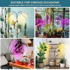 LED Grow Lights for Indoor Plants,4 Heads Red Blue White Full Spectrum Plant Light with 15-63" Adjustable Tripod Stand, Indoor Grow Lamp with Remote Control and Auto On/Off Timer Function - Image 7