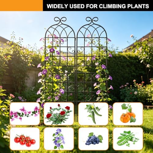 YOBAZAN Metal Garden Trellis 71"x20", 2 Pack Plant Support Trellis - Image 6