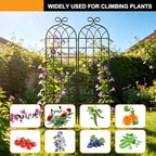 YOBAZAN Metal Garden Trellis 71"x20", 2 Pack Plant Support Trellis - Image 6