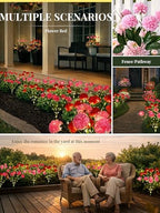 GIGALUMI 6 Pack Solar 42 Chrysanthemum Flowers Outdoor, 2 Modes Multi-Color - Image 4