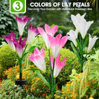 8 Pack Solar Garden Lights Outdoor, 7 Color Changing LED Waterproof Solar Powered Lily Flowers Landscape Lights for Outside Yard, Patio, Pathway Decorative, Décor - Image 6