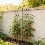 Garden Trellis for Climbing Plants Outdoor, 2-Pack 86" Metal Rustproof - Image 5