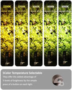 Low Voltage Tree Uplighting Outdoor with 5 Color Temperature - Image 3