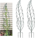 Metal Garden Trellis Plant Support Trellis for Climbing Vines Floral Vegetables Metal Trellis -Green Leaf Trellis Garden Decor Set of 2（Green） by YY-Ladybug