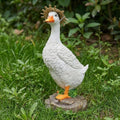 Funny Duck Outdoor Statue, Resin Garden Lawn Yard Decor, Figurine Sculpture Ornament for Porch Patio Flower Bed Home Bookshelf, 11.6" H × 5.5" L × 5.5" W by Unknown