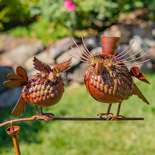 Zaer Ltd. Metal Balance Stakes with Feathered Style Metal Birds (Rudy & Robin) by ZaerLtd