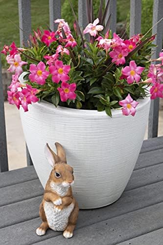 CLEVER GARDEN Rabbit Garden Statue Outdoor Décor, Resin Figurine Decoration for Lawn, Yard, Patio, Porch, and More - Image 6