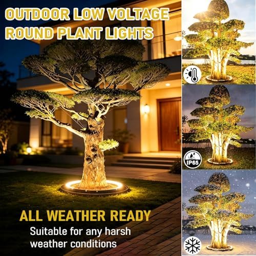 Low Voltage Landscape Uplights, Outdoor Waterproof Tree Ring Lights - Image 3