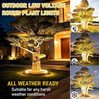 Low Voltage Landscape Uplights, Outdoor Waterproof Tree Ring Lights - Image 3