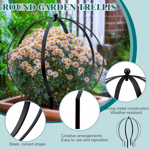 4 PCS Large Metal Round Trellis for Climbing Plants, Heavy Duty Thick Rustproof Obelisk, Garden Sphere Frame for Potted Roses Vines, Outdoor Garden Decor, Easy Assembly (25.2" x 21.3") - Image 3