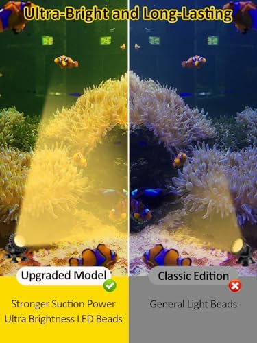 T-SUN Colored Pond Lights LED Underwater with Remote Control 4 Heads - Image 3