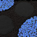 Pure Garden Glow-in-The-Dark Solar Pebble Lights, 500 Ct Blue Decorative Rocks for Flower Beds, Walkways, and Patios - Image 4