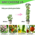 77-Inch Garden Trellis for Climbing Plants,Heavy-Duty Metal Obelisk with Mushroom Top,Stable Support for Potted Clematis,Tomato,Cucumber,Rose,Pea & Vine - Image 5
