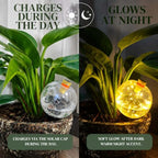 4 Pack 26oz Extra Large Plant Self Watering Globes to 3 Weeks Watering - Image 2