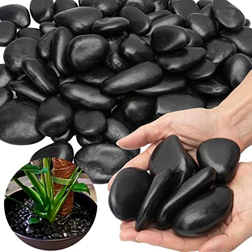 Black River Rocks - Large Polished Black Pebbles for Plants & Garden Decorative Stones, 1-2 Inch, 15 Pound by TOPEMAI