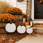 GlikCeil 3 Pcs Fall Decor Outdoor Rustic Pumpkin Stakes, Fall, White - Image 5