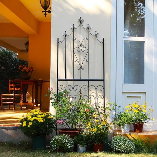 Garden Trellis for Climbing Plants 70.8" H x 25.6" W Metal Premium Quality Material Rust-Resistant Climbing Frame Stylish Garden Addition Outdoor Roses Vine Ivy Clematis Trellises Black by SCENDOR