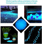4.8Lbs 1100pcs Glow in The Dark Stones Garden Pebbles Rocks Indoor Outdoor Decor Luminous Stone for Walkways Driveway Yard Grass (White in Daytime, Blue in Night) - Image 5