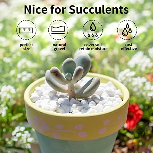 FANTIAN 10 lb White Pea Gravel for Landscaping, 3/8 Inch Pebble for Plant - Image 3