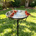 Metal Bird Bath for Outside, 11.6In Removable Stainless Steel Tray, Weather-Resistant Standing Water Feeder for Garden Patio Lawn, Black by Calidola