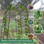 Garden Arch Trellis, 7.5FT Extra Tall Polyethylene-Coated Stainless Steel Garden Trellis for Cucumbers, Melons, Vegetables, Peas, Tomatoes & Climbing Vegetables, Outdoor Rust-Resistant Trellis - Image 6