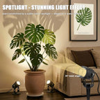 LED Spotlight Indoor for Plants Uplights Lamp Accent Lighting Decor 12V Low Voltage Warm White Up Down Spot Lights Outdoor Landscape Lighting 2 Pack(Adapter, Base and Stake Included) - Image 3