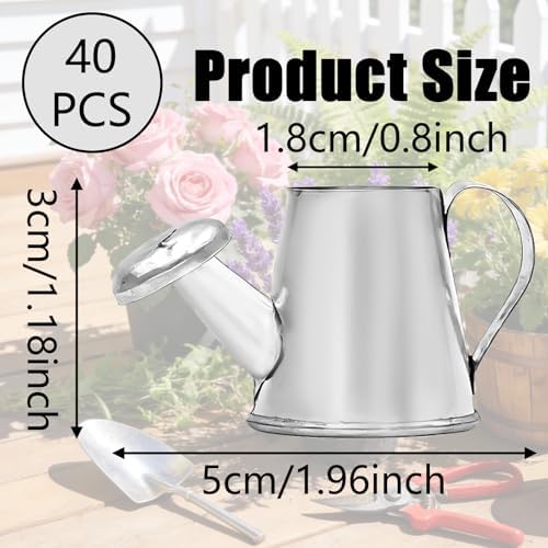 40Pcs Mini Watering Can Mini Galvanized Watering Can Silver Miniature Watering Pot, Small Metal Kettle for House Crafts, Garden Ornaments, Gardening Landscape, Party Favors, Dollhouse Decor - Image 2