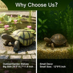 SKYFIRE Large Turtle Statues for Garden - 29.5' x 15.3' x 11.8' Fiber Reinforced Concrete Tortoise Sculpture, Garden Sculptures & Statues for Outdoors, Lawn, Yard, Indoor Outdoor Decor - Image 3