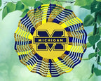 10 Inch Michigan Football Basketball Sports Wind Spinner Yard Decor Aluminum Sublimated Garden Art Indoor Outdoor 3D Kinetic by Unknown