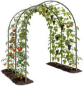 Anleolife 4x6FT Heavy Duty Double-Arch Garden Trellis for Climbing Plants by AAnleolife