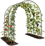 Anleolife 4x6FT Heavy Duty Double-Arch Garden Trellis for Climbing Plants by AAnleolife