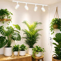 3 CCT LED Track Grow Lights for Indoor Plants, 4x35W, 2 Rails, White by OTeedo