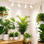 3 CCT LED Track Grow Lights for Indoor Plants, 4x35W, 2 Rails, White by OTeedo