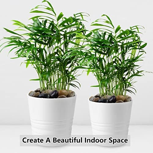 YISZM 40lbs Pebbles for Landscaping Garden Indoor Plants, 1-2 Inch Mixed Color High Polished River Rocks Outdoor Decorative Stones Outdoor Vase Filler Fish Tank Aquariums and Indoor DIY - Image 5