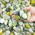 FANTIAN 10 lbs River Rocks, 1-2 Inch Polished Pebbles for Indoor Plants, Decorative River Stones for Succulent, Landscaping, Vases, Backyard, Crafting and Garden by FANTIAN-GardeningMakesLifeBetter