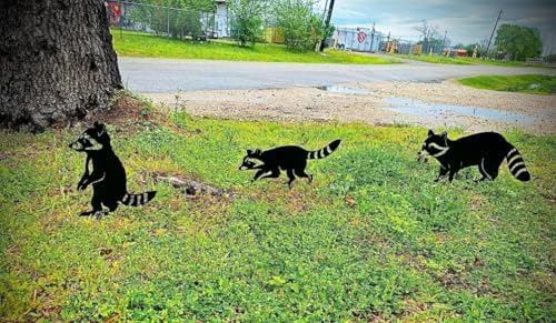 RealSteel - Garden Art Raccoon Family 3 Pack | Metal Yard Decor | Outdoor Garden Stakes | Wildlife Animal Decor | Custom Steel Art | Rust Resistant | Lawn Ornaments for Garden & Pathways (Gold) - Image 5