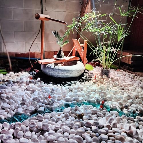 FANTIAN 10 lbs White River Rocks for Plants, Decorative Stones for Vase - Image 7