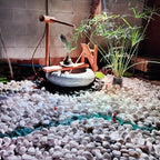 FANTIAN 10 lbs White River Rocks for Plants, Decorative Stones for Vase - Image 7